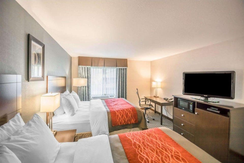 Suite room