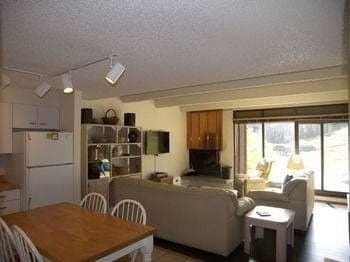 Snowflake 1 Bed plus Den 2 Bath Hotel in Copper Mountain