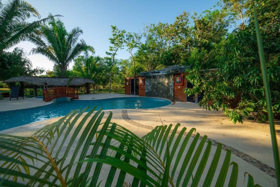 Swimming pool