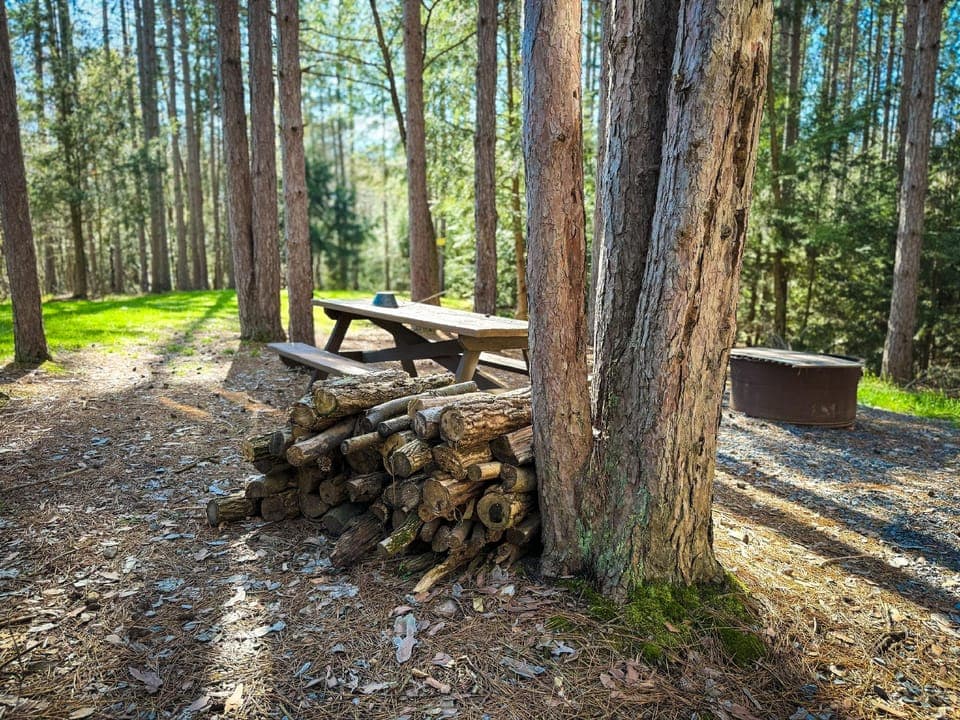 Boyer's Pond Campground Hotel in Pennsylvania