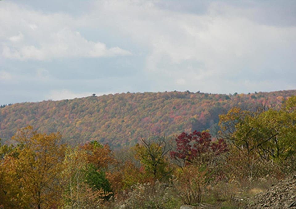 Surrounding environment