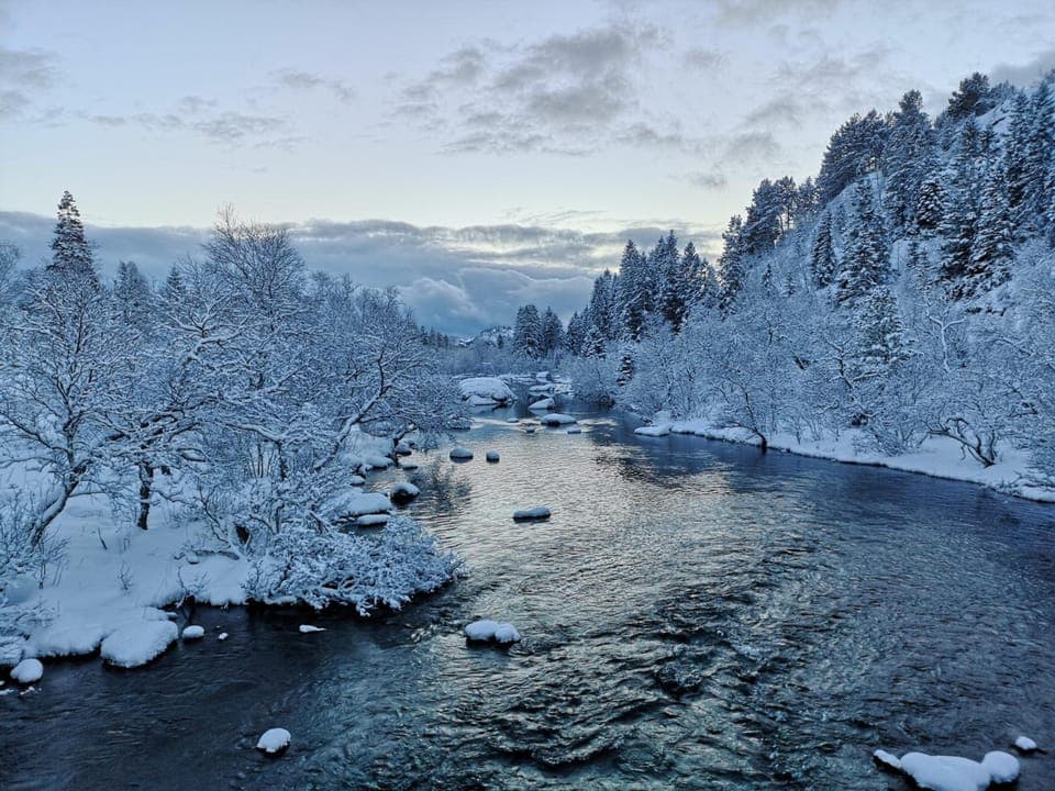 Surrounding environment