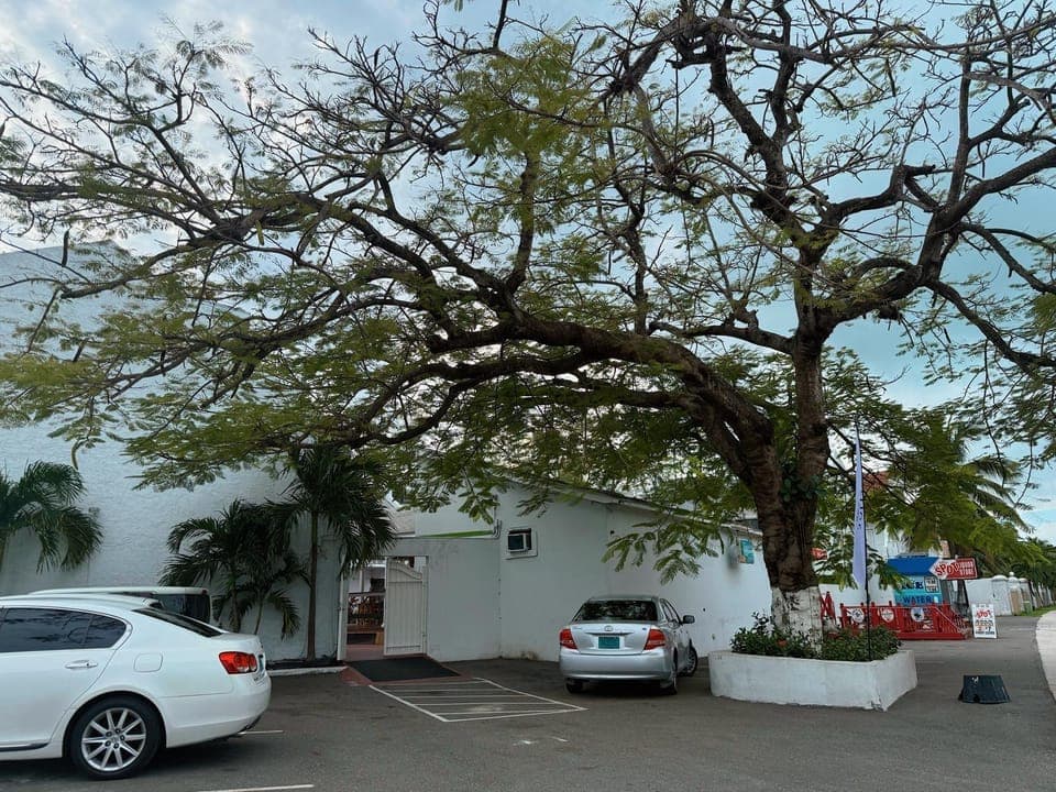 Exterior view