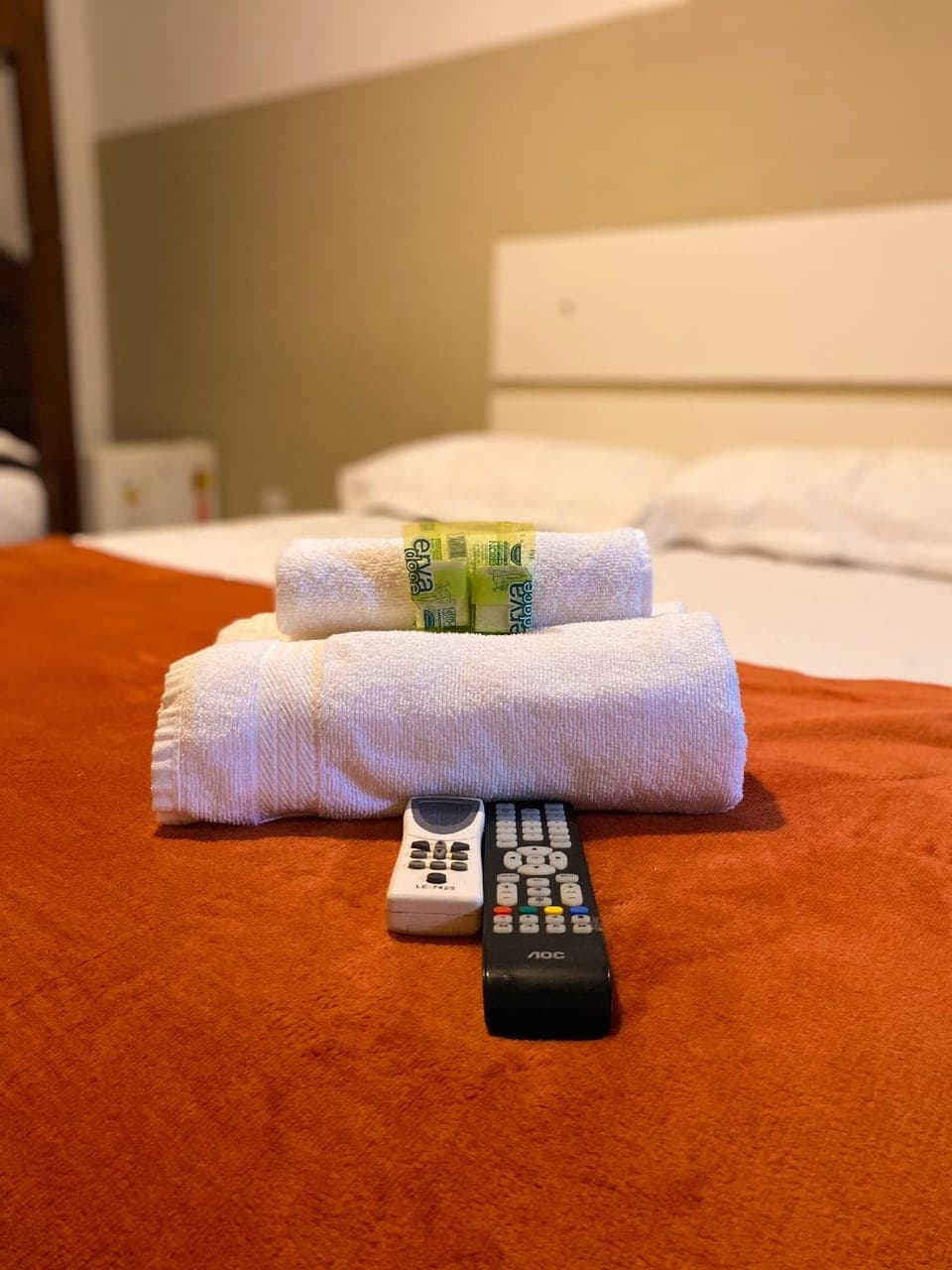 Pousada Recanto Tangará Hotel in Paraty