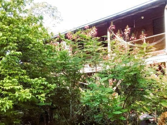 Treetop Cottage Escape in Tropical Garden Near San Ignacio Hotel in San Ignacio