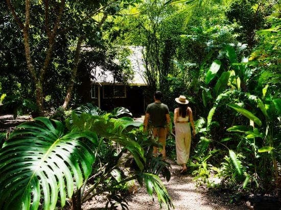 Jungle Like Oasis in San Ignacio - Secluded Cabaña Retreat Close to Mayan Ruins Hotel in San Ignacio
