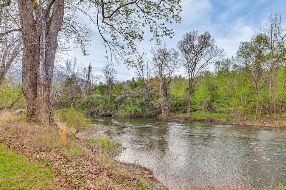 Fire Pit + Patio: Creekside Cabin in Eagle Rock! House in Shenandoah Valley