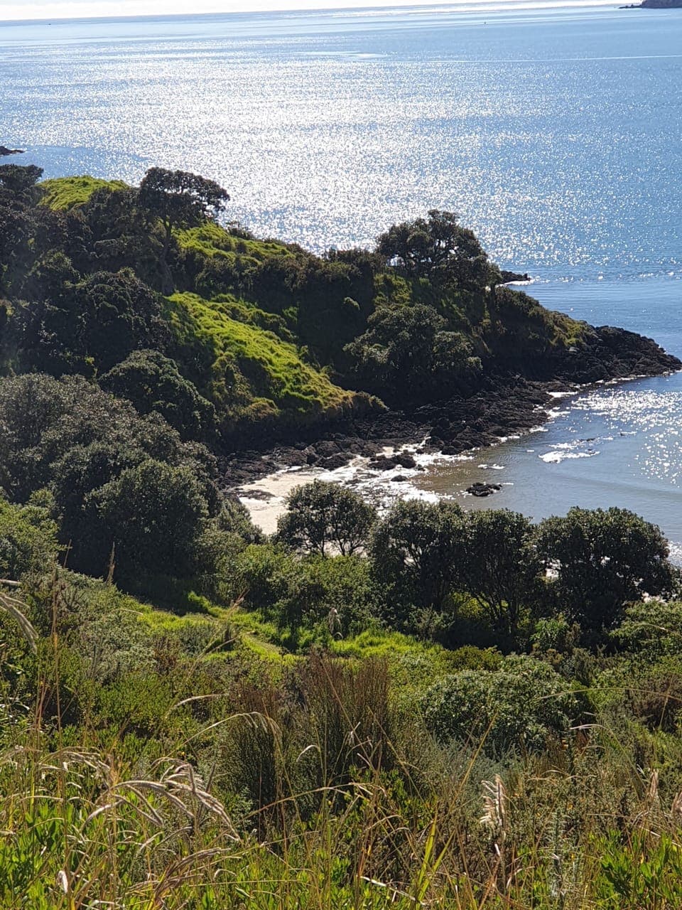 view from coastal reserve walking track close to the Apartment