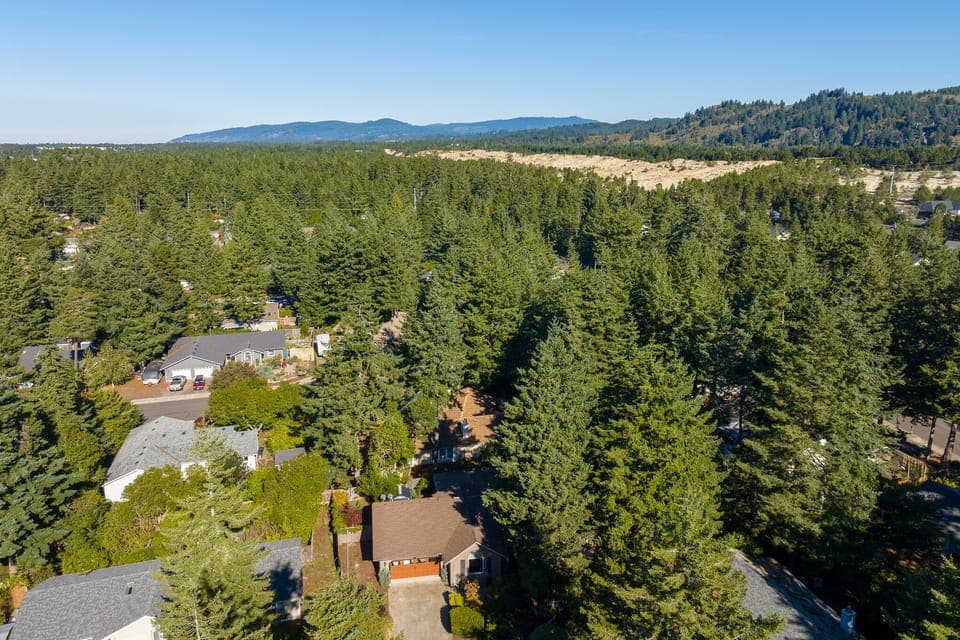 Drone view of the dunes from home
