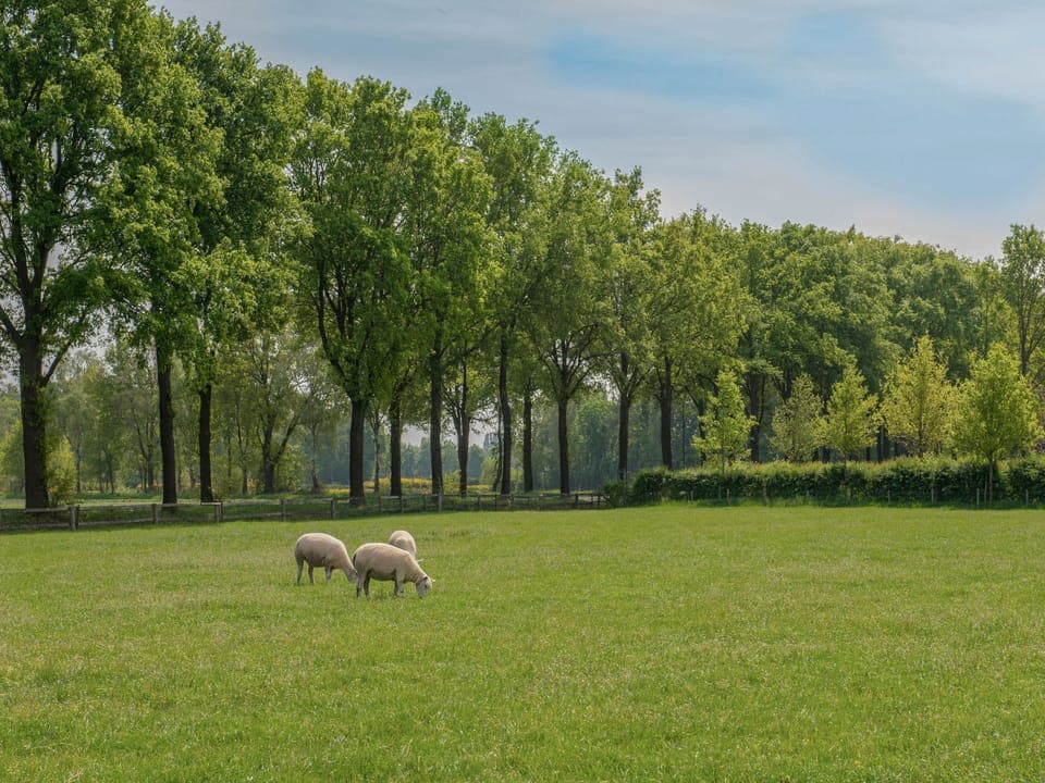 Immediate Surroundings [summer] (<1 km)