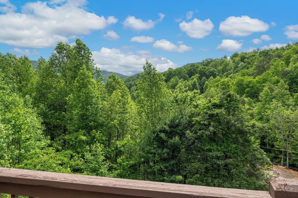 View from Deck