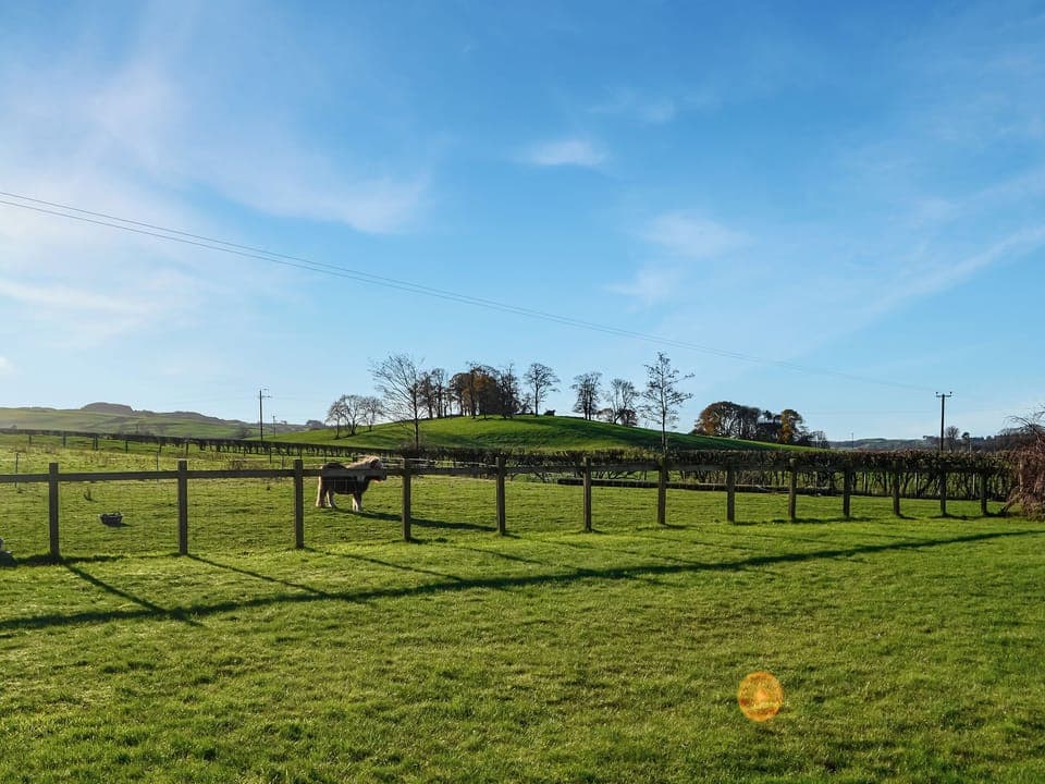 Garden | The Longhouse at Threave, Castle Douglas