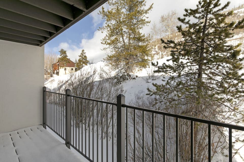 Snowy views