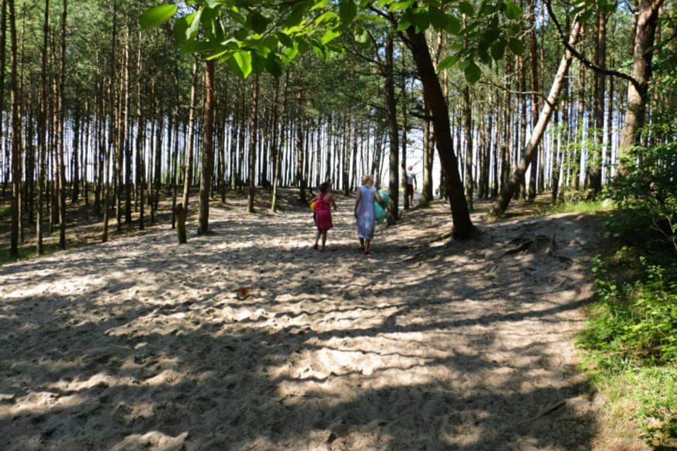 Surroundings [summer] (1-5 km)