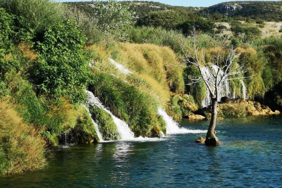 Region [summer] (>5 km)