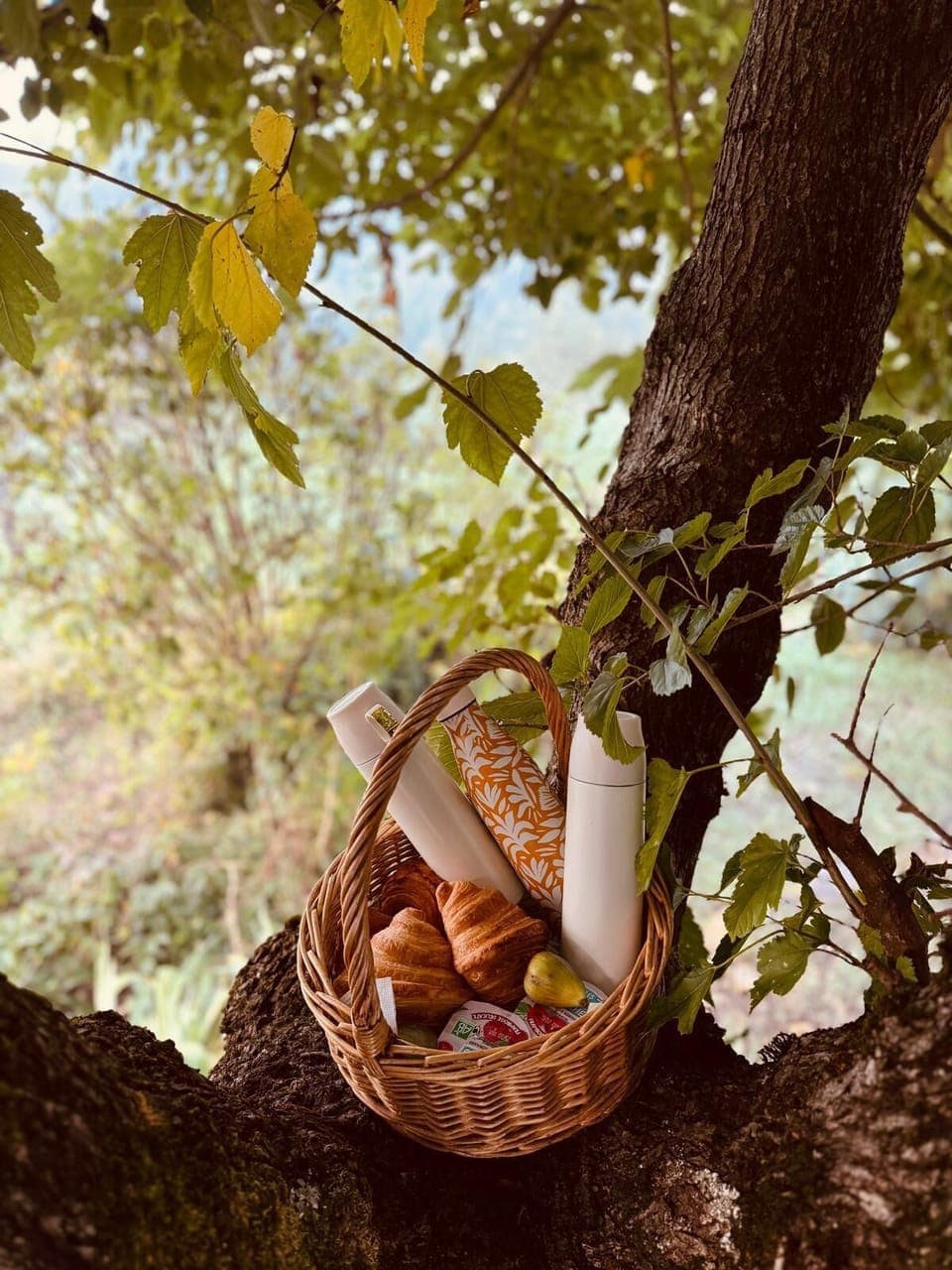 WhatsApp Image 2024-10-06 at 18.05 (2)