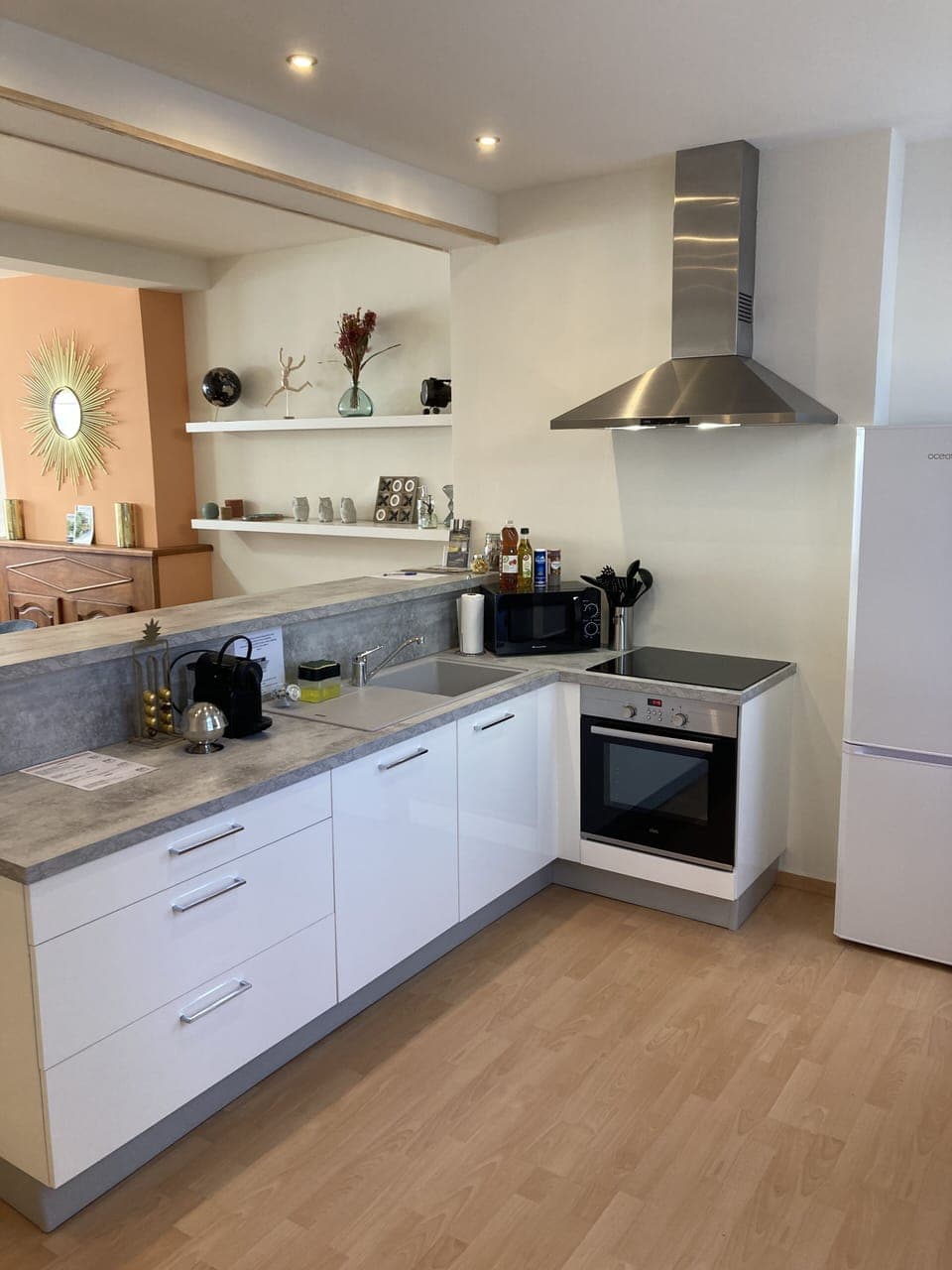 Family Apartment | Private kitchen | Full-size fridge, microwave, oven, stovetop