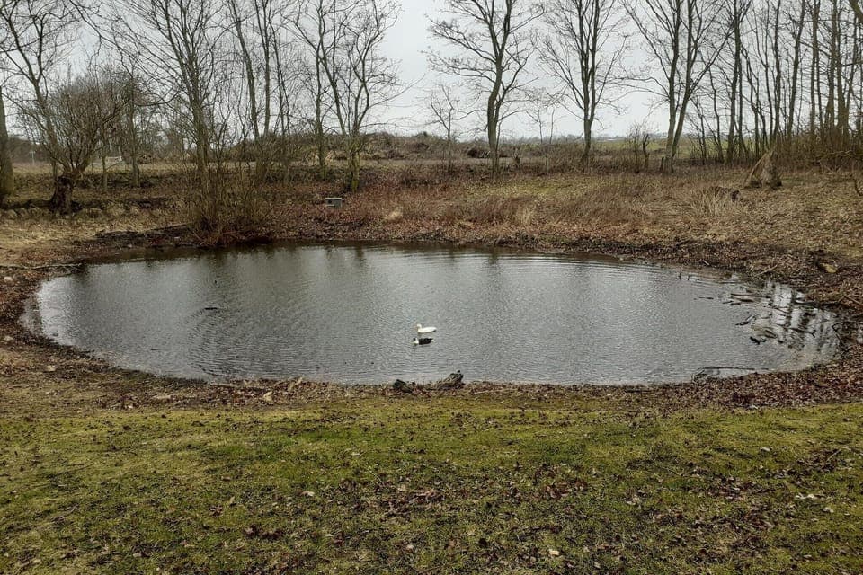 Immediate Surroundings [summer] (<1 km)