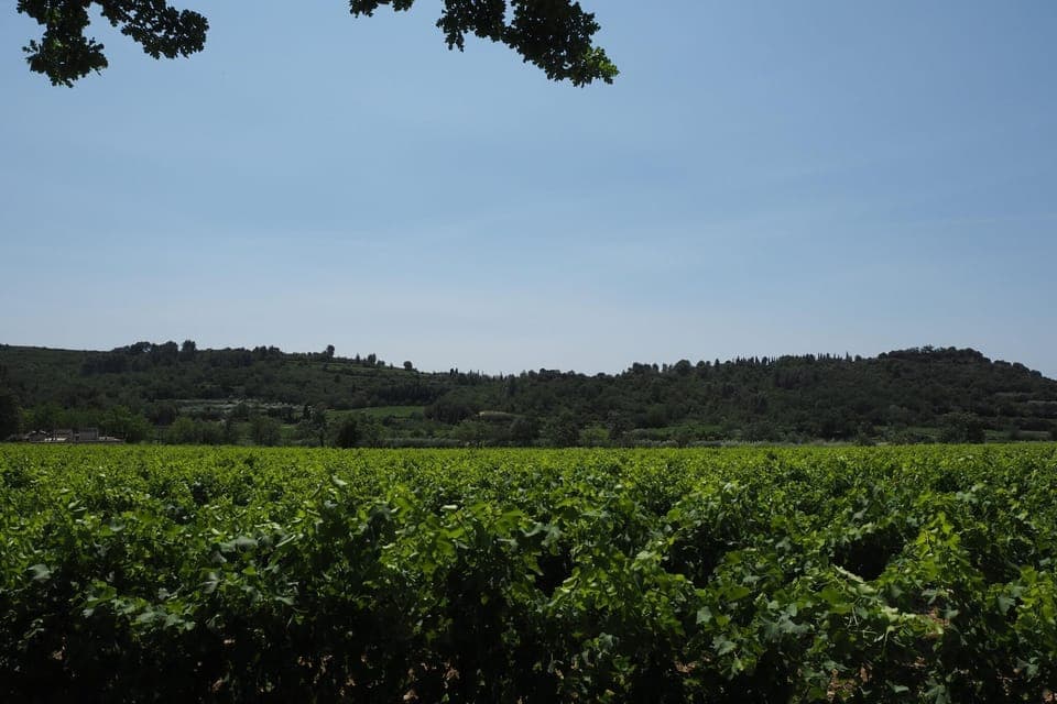 View from Holiday Home [summer]