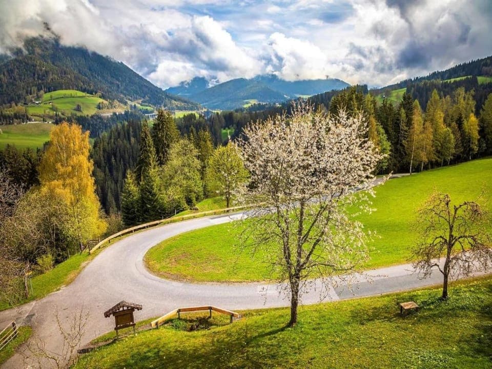 Region [summer] (>5 km)