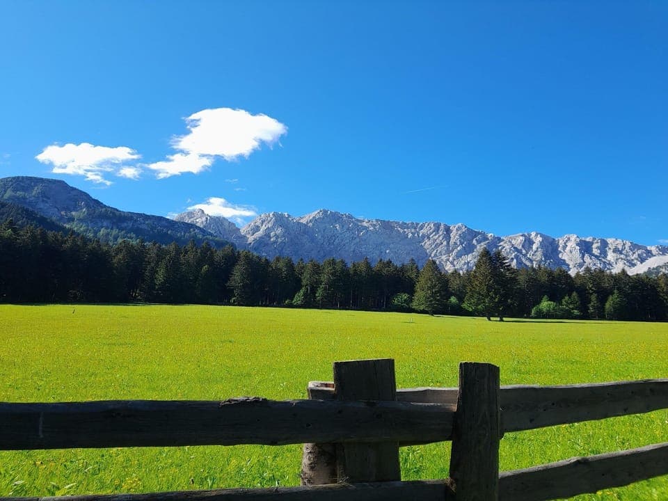 Surroundings [summer] (1-5 km)