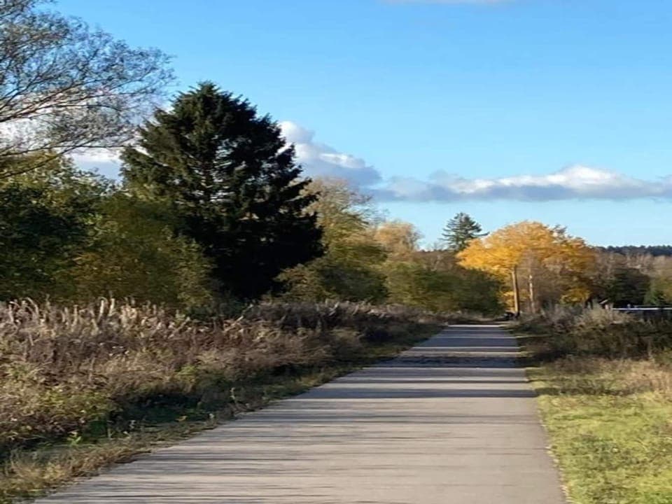 Region [summer] (>5 km)