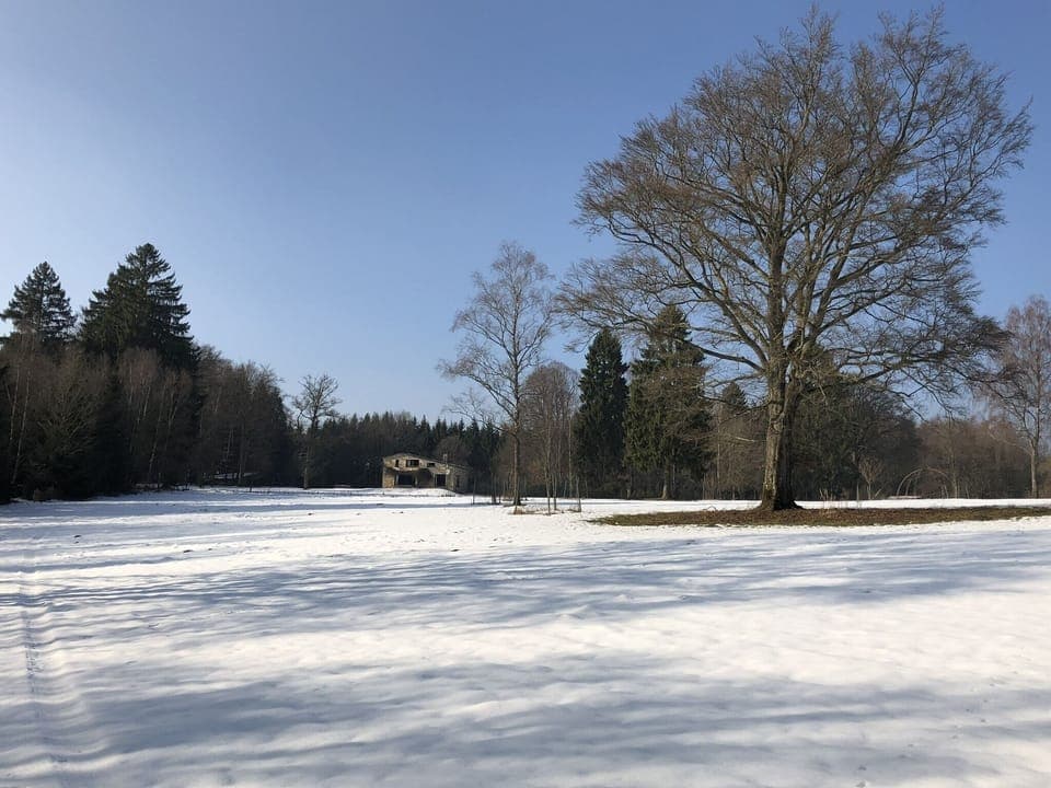 Holiday Home Exterior [winter]