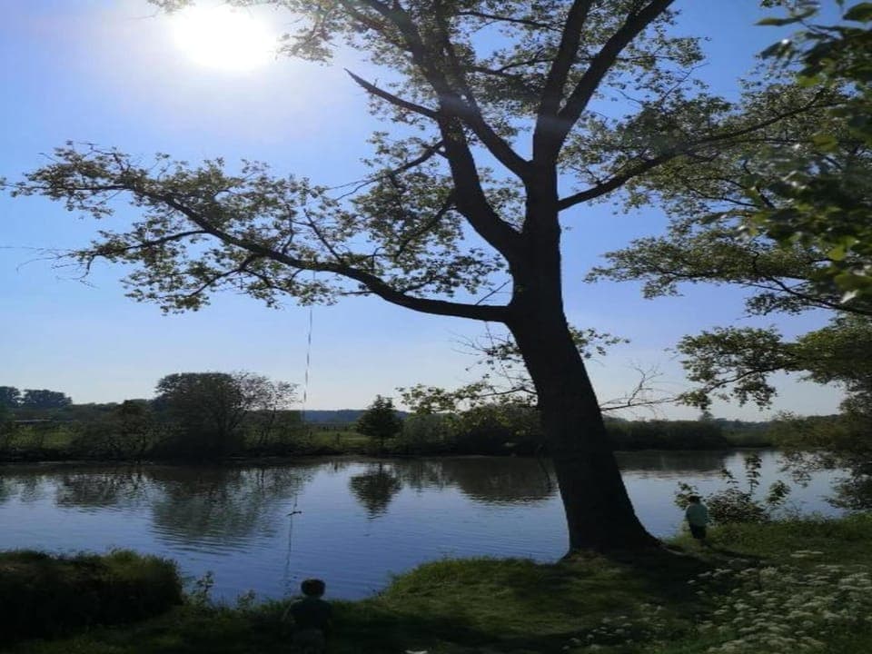 Region [summer] (>5 km)