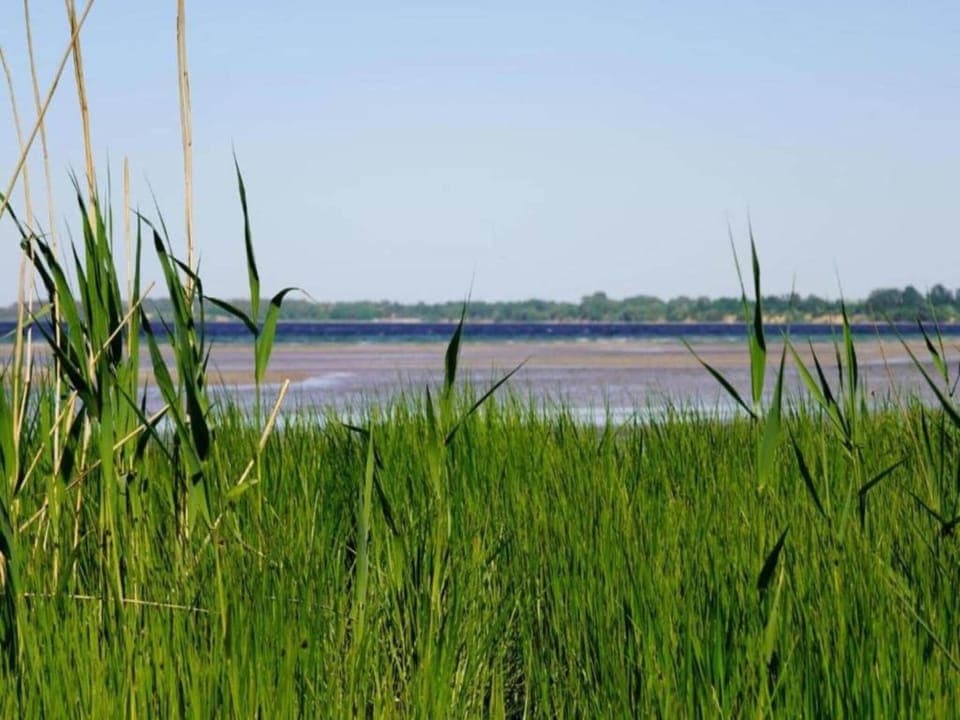 Surroundings [summer] (1-5 km)