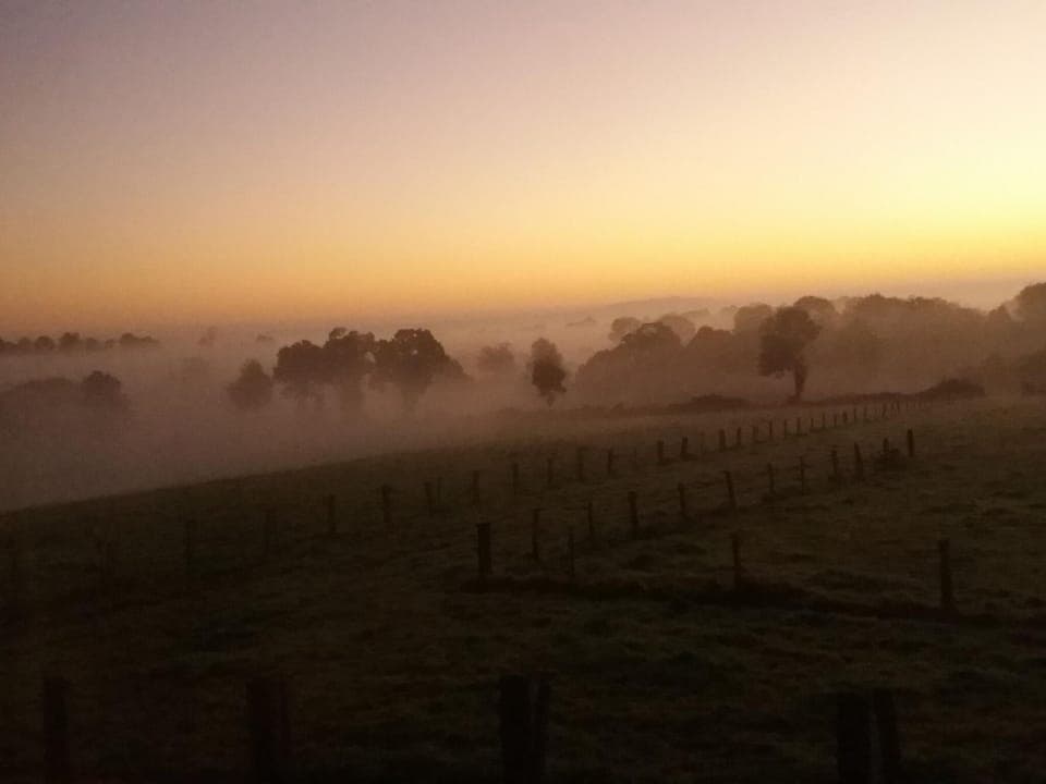 Region [winter] (>5 km)