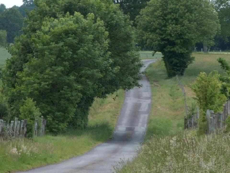 Region [summer] (>5 km)