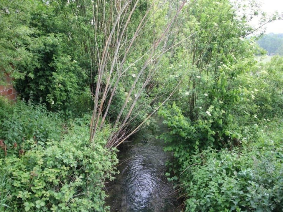 Region [summer] (>5 km)