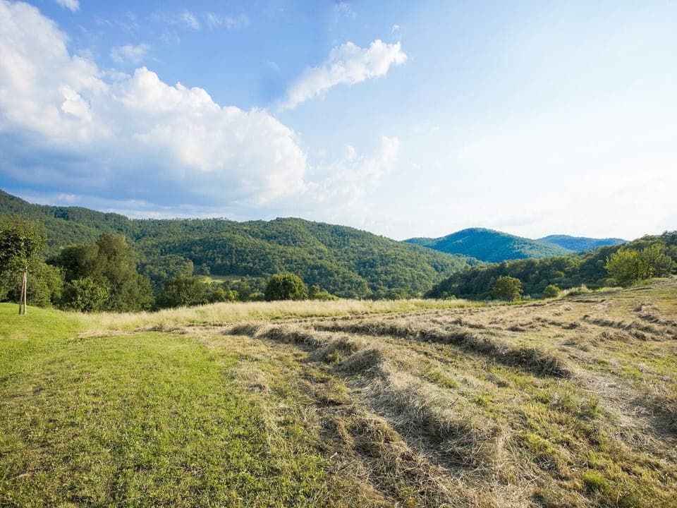 View from Holiday Home [summer]