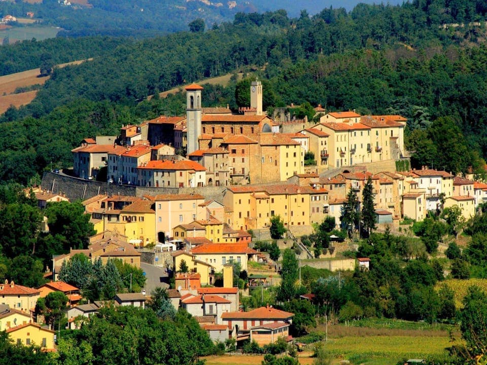 Region [summer] (>5 km)