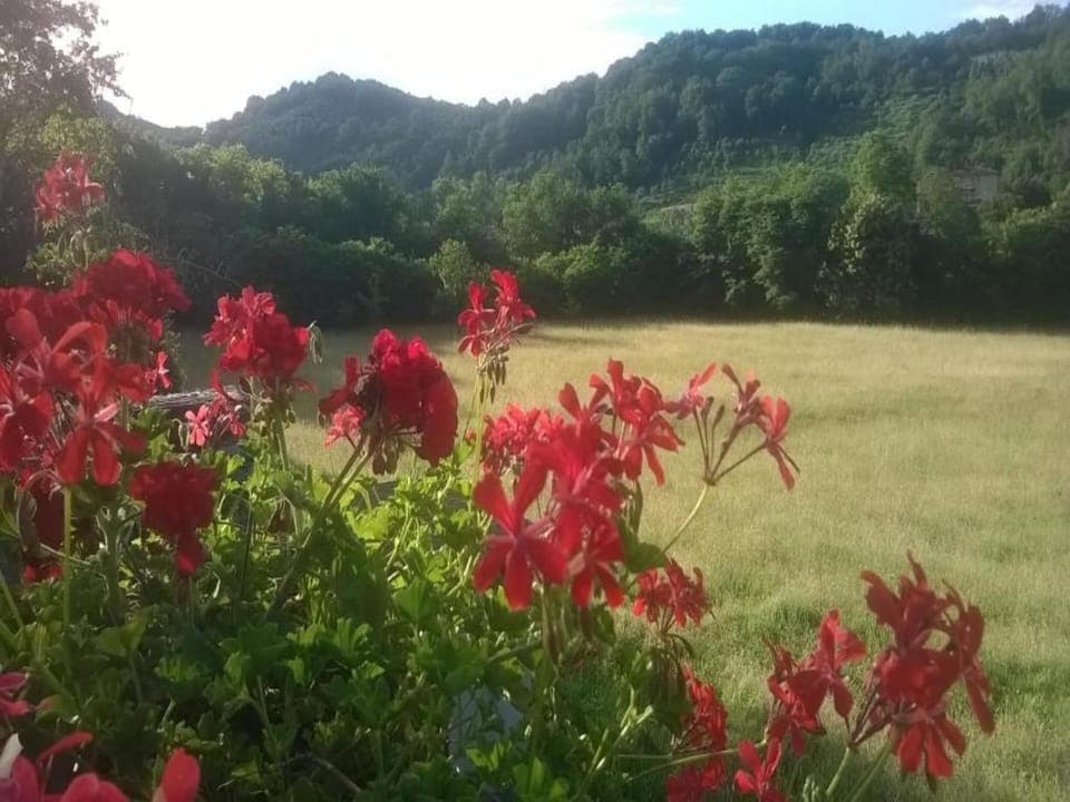 Region [summer] (>5 km)