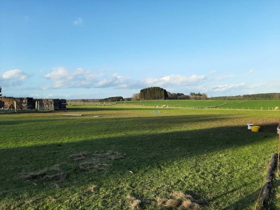 View from Holiday Home [summer]