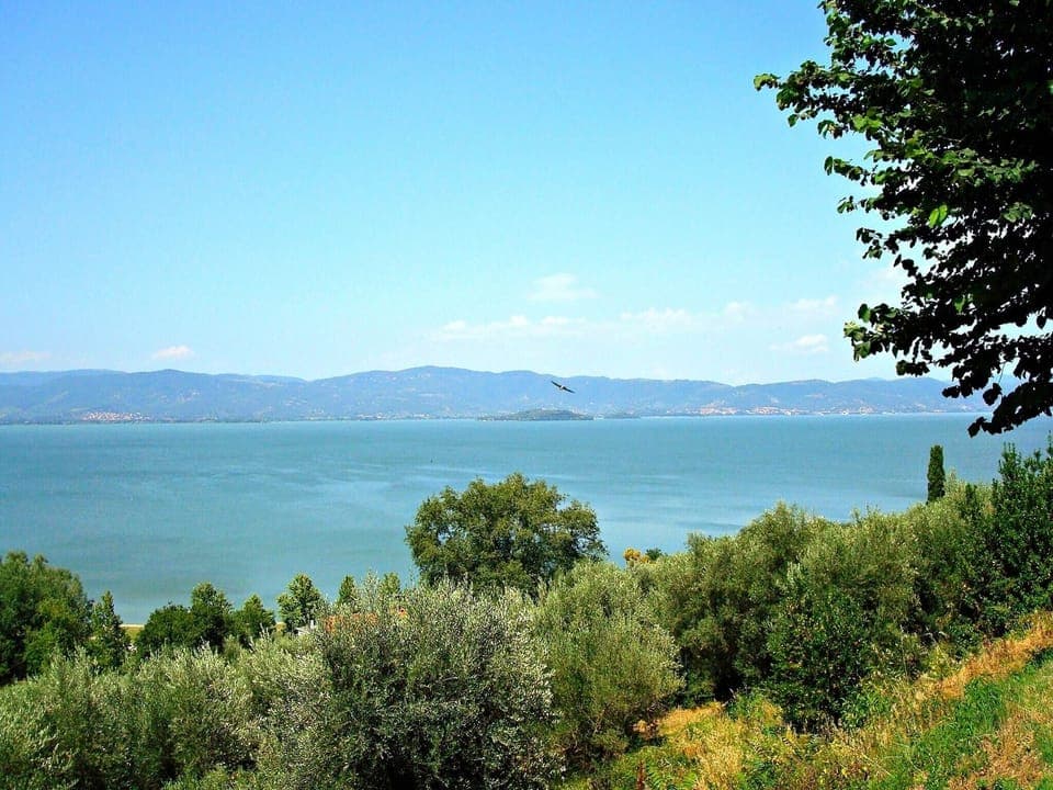 Region [summer] (>5 km)