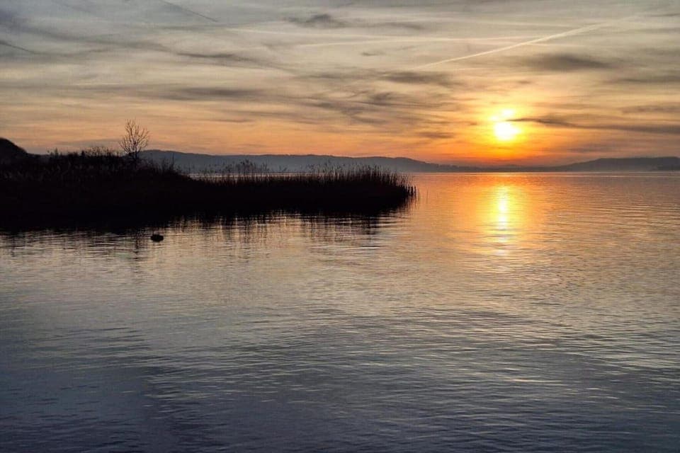 Region [summer] (>5 km)