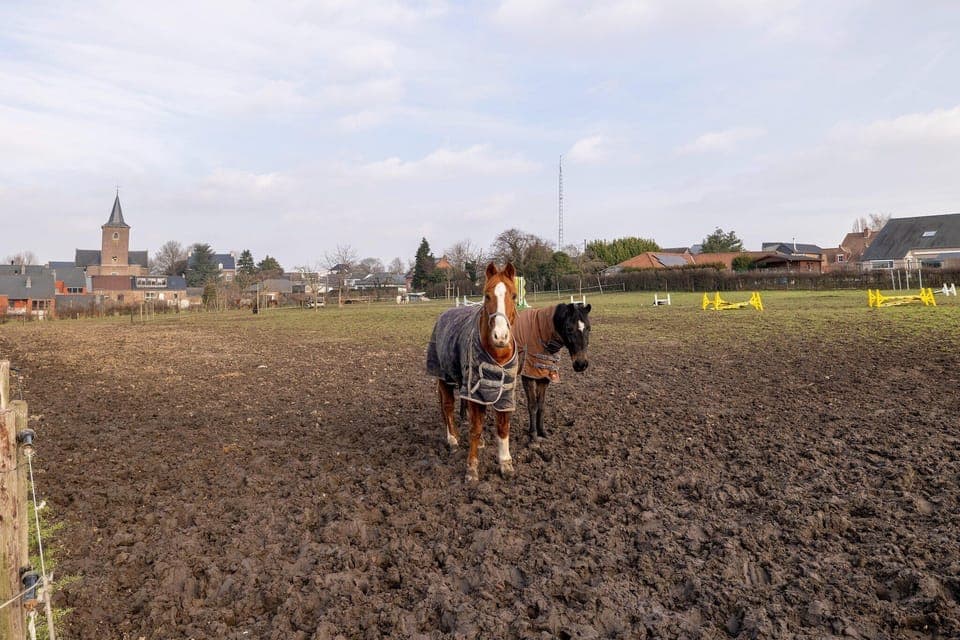 Surroundings [summer] (1-5 km)