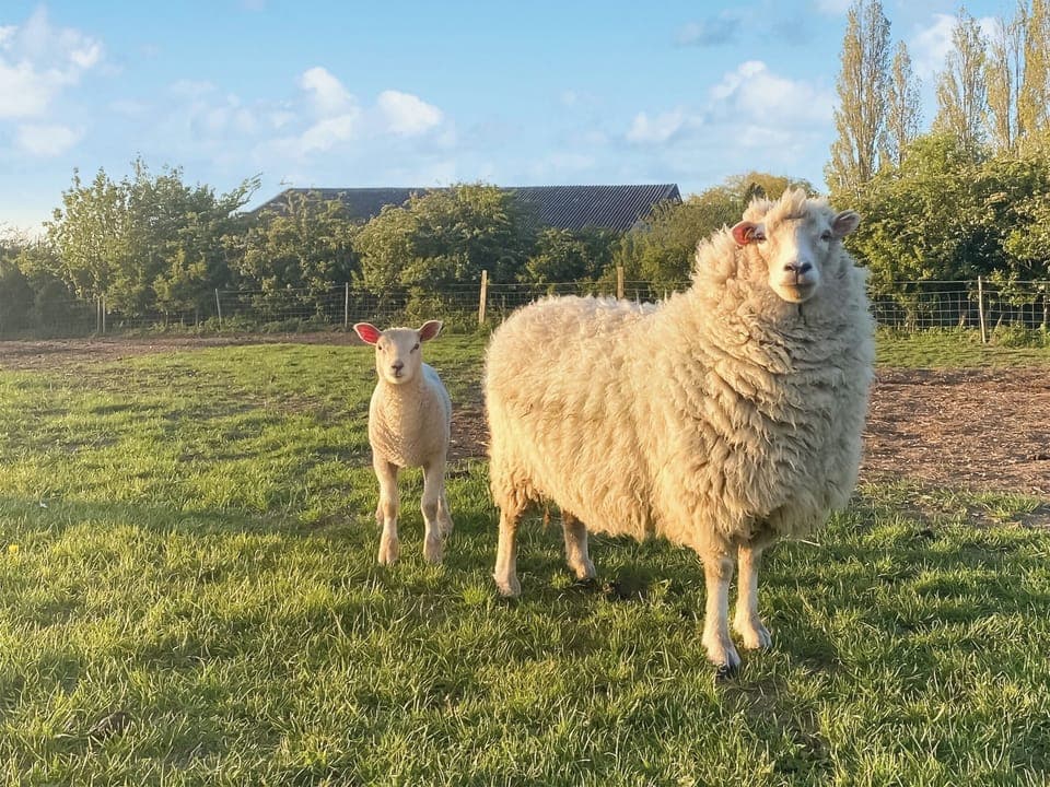 Surrounding area | Oak Cottage, Ware