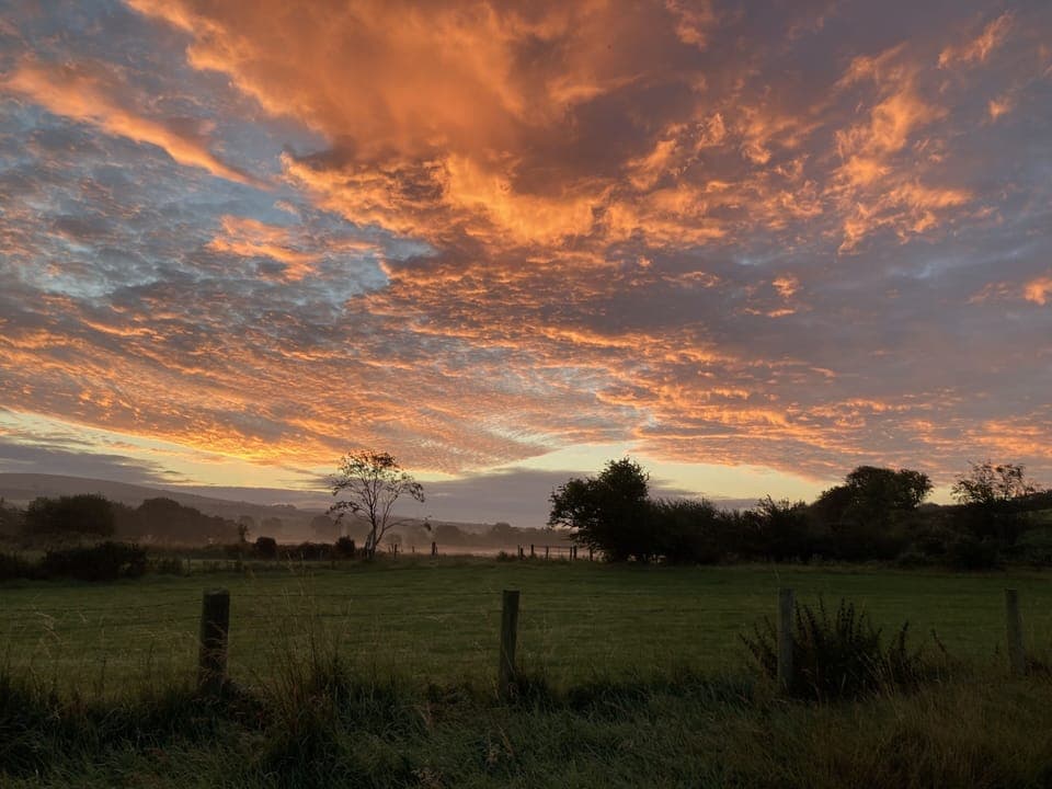 Cabin | Miscellaneous