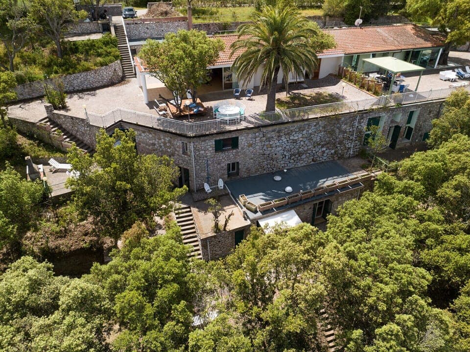 Activities, Amenities, Balcony / Terrace / Patio, Building Exterior, City, Scenic View, Spring, Summer, Wellness