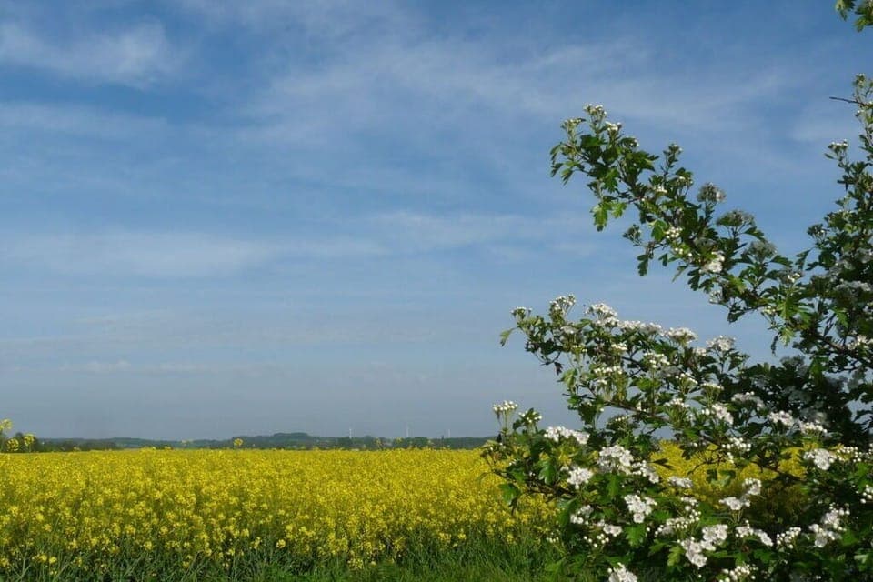 Immediate Surroundings [summer] (<1 km)