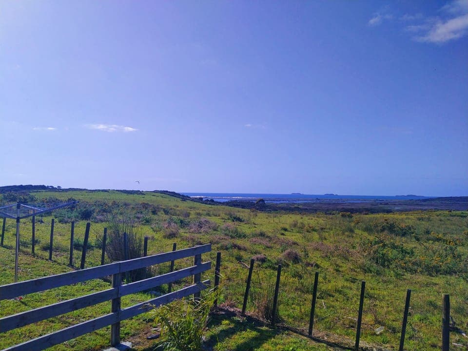Rear view of rolling hills, ocean, skies, sometimes wild birds or farm animals.