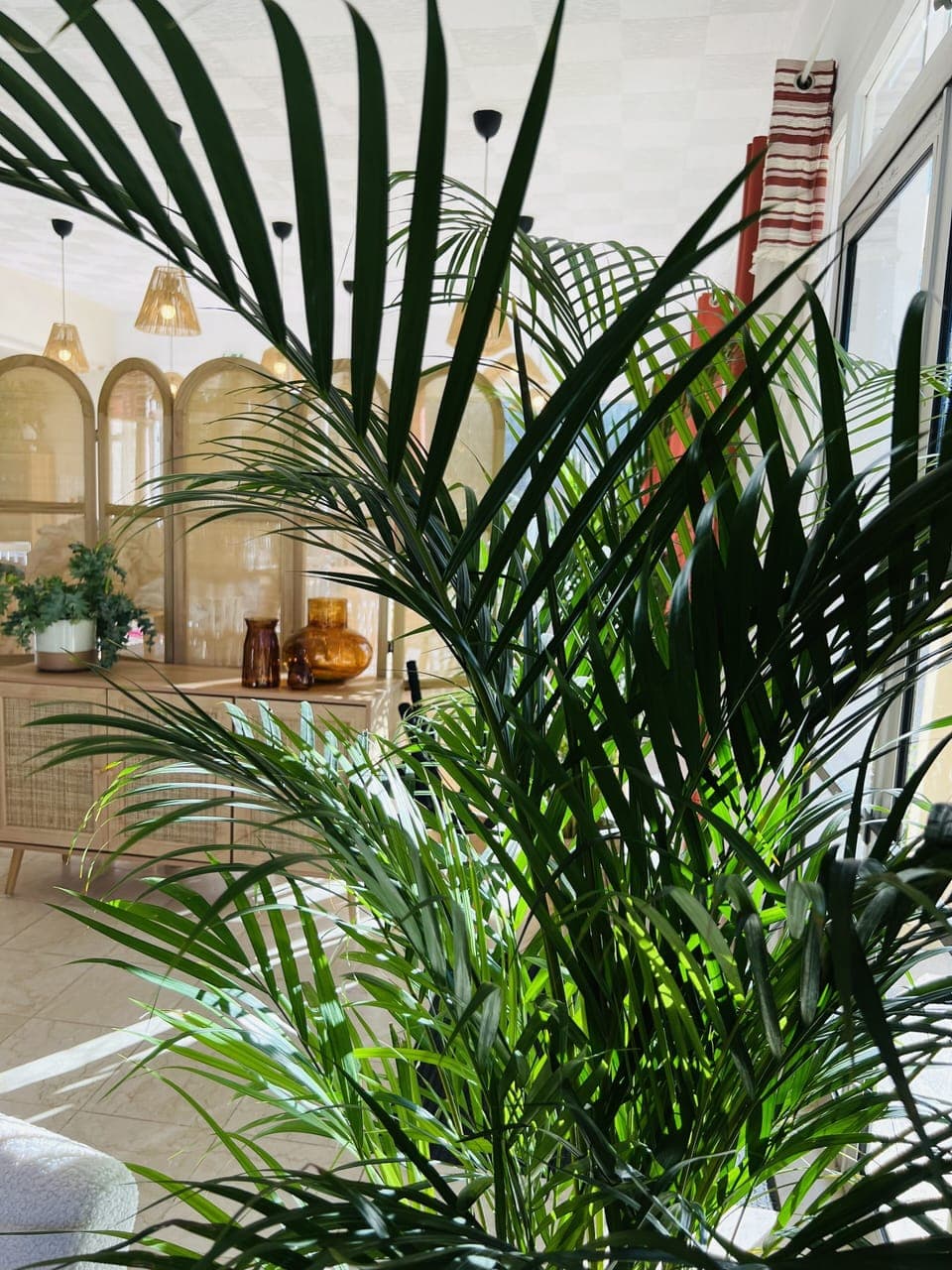 80-cm LCD TV with digital channels