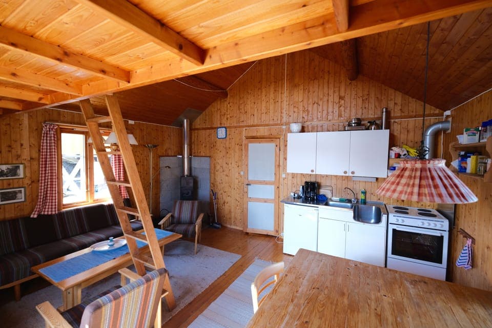 Traditional Cabin | Private kitchen | Shared fridge, microwave