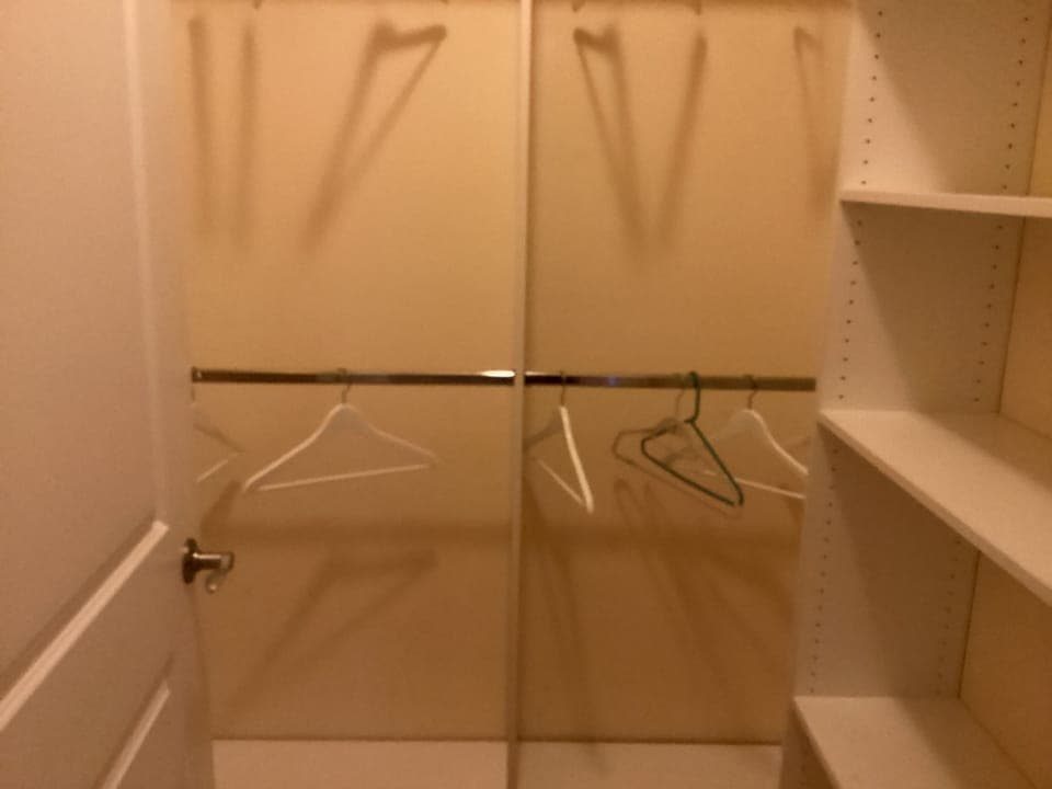 Master walk-in closet