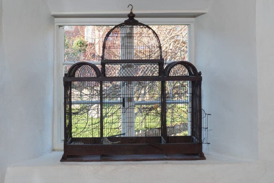 Victorian birdcage