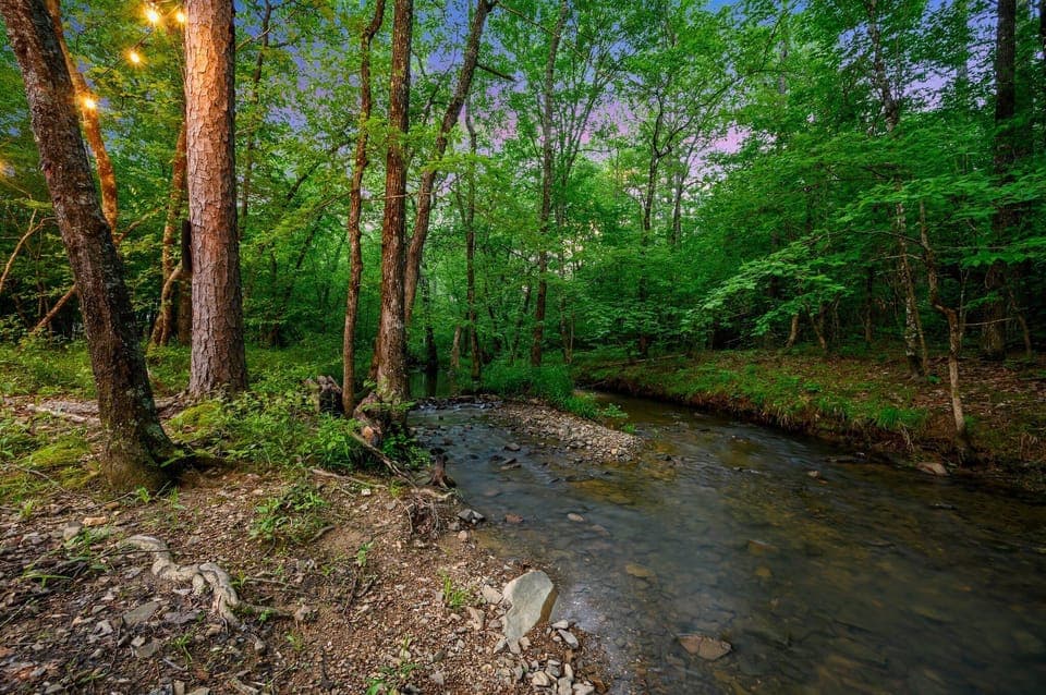 Unwind by the tranquil seasonal creek flowing through the property, offering a serene backdrop for relaxation.