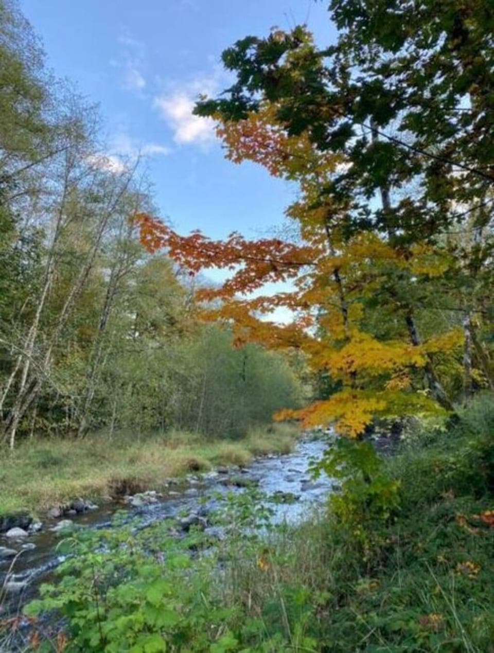 e236a5bb-2e31-4f2e-a8a0-2763783370e2